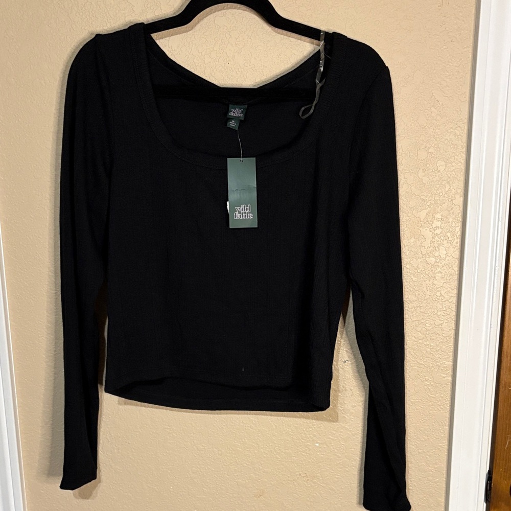 Wild Fable Classic Black Long Sleeve Tee and purple crop top
